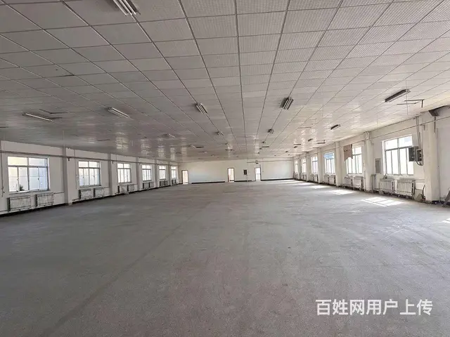 （新房源）羊亭和兴路附近标准厂房出租可分租 - 图片 9