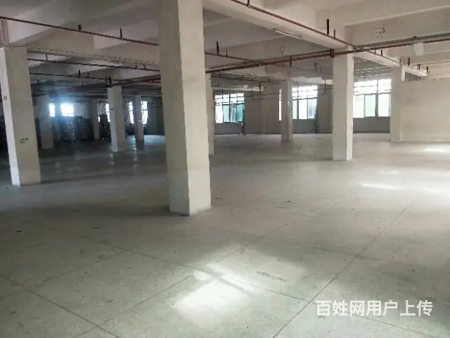 出租普宁流沙东埔周边厂房仓库3一4楼4800平方 - 图片 12