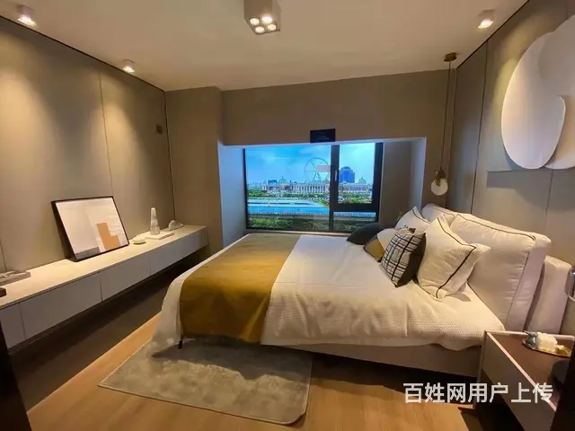手付2W起新北恐龙园龙湖天街迪诺水镇旁复试挑高即买即用手慢无 - 图片 8