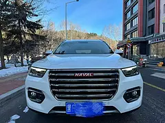 哈弗H6 2018款 2.0T 双离合 豪华型红标