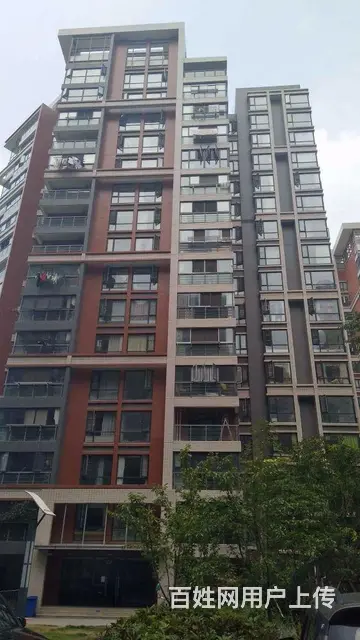 岳家嘴 一居室 独门独户出租 中央空调供暖 有天然 - 图片 6