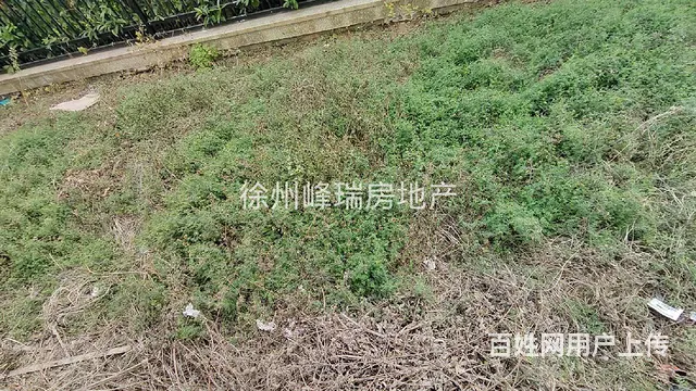 泉城对面锦绣翰林 一楼带花园 毛坯两室 业主亏本急售 捡漏房 - 图片 8
