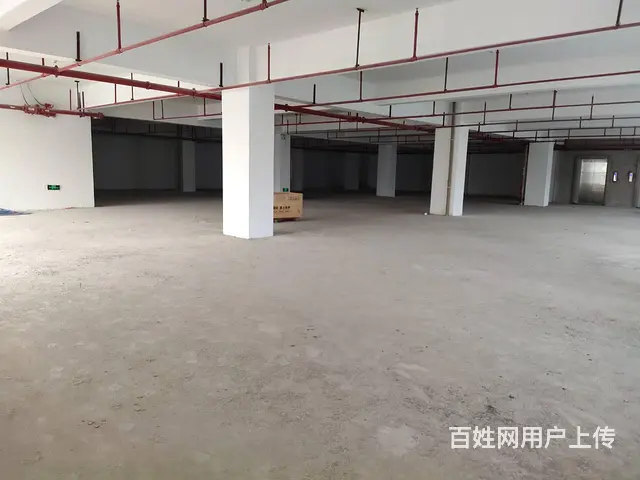 (全新办公室出租）南屏科技园屏北路 - 图片 3