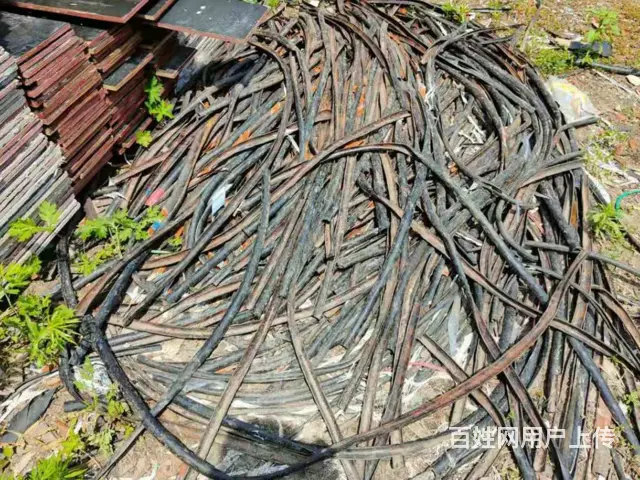 顺城辽宁省建筑木方模板木制品高价上门回收 - 图片 3