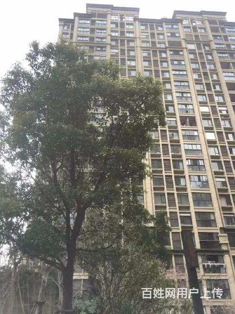 押一付一 劳动路 双桥地铁口 胥江龙湖 凤凰胥岸 云庭 万科 - 图片 11