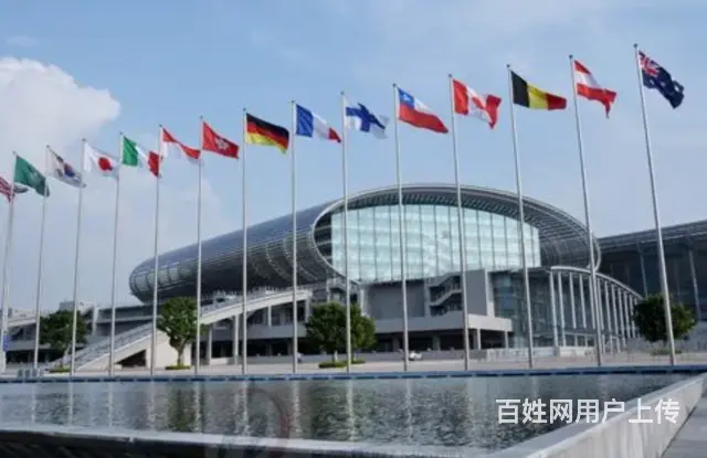 集货出口托管，广州国际货代，国际物流，第三方仓储 - 图片 3
