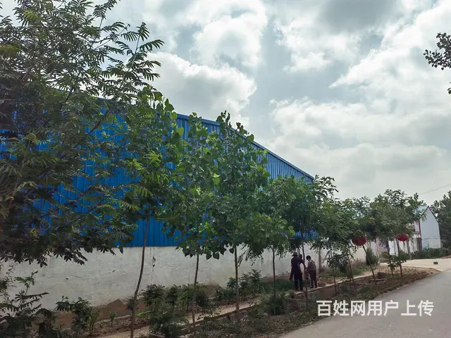 临沭县青云镇钢结构厂房出租 - 图片 5
