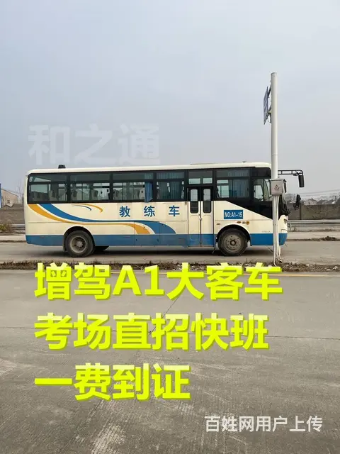 永春可以报考A1大客车吗，增驾A2有什么要求 - 图片 5