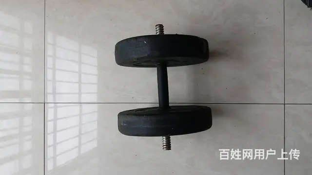 哑铃一只共20斤送充电体重称一只 - 图片 4
