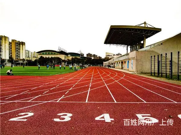 塑料跑道生产厂家：铺设塑胶跑道的优缺点 - 图片
