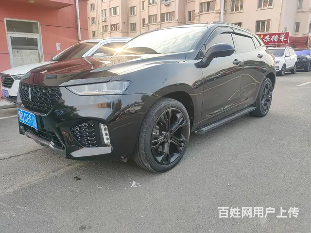 WEY VV7 2017款 VV7s 2.0T 双离合 豪华 - 图片 3