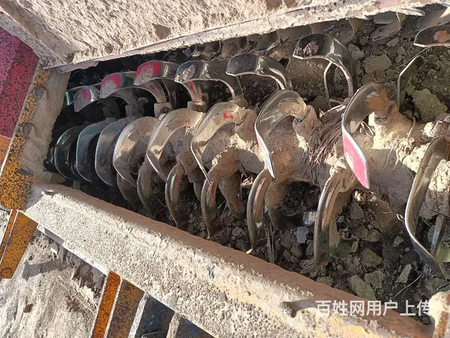 霞光满外3米----- - 图片 2