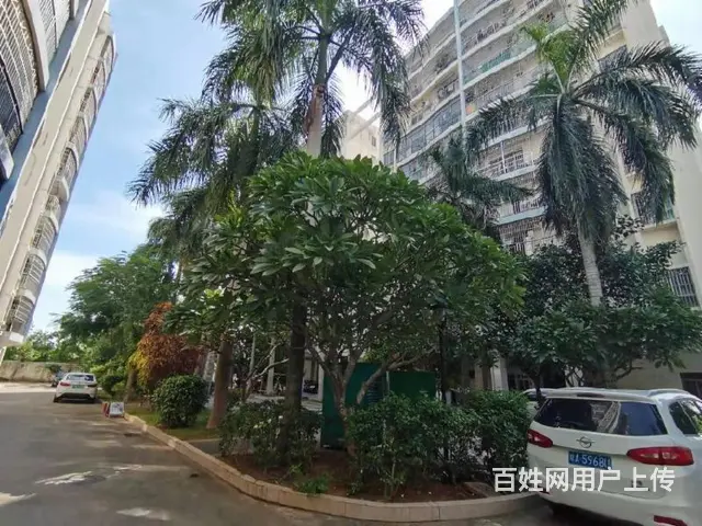 新城吾悦广场对面  椰海雅苑3房 - 图片 9