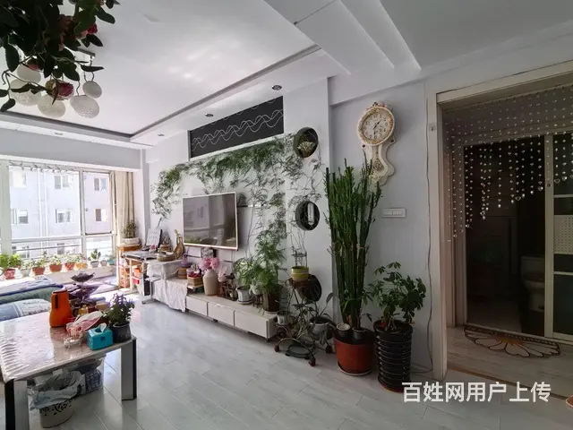 珠江路，四中，城南新苑3楼89平两室两厅，中等装修43万，小 - 图片 1