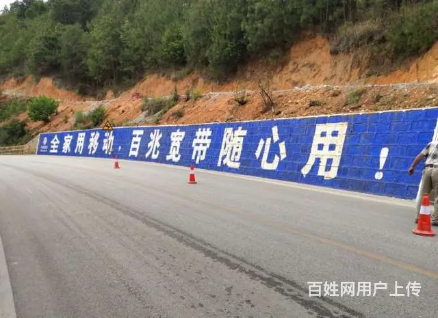 四川广元墙体彩绘,墙体户外广告,外墙刷大字广告 - 图片 1