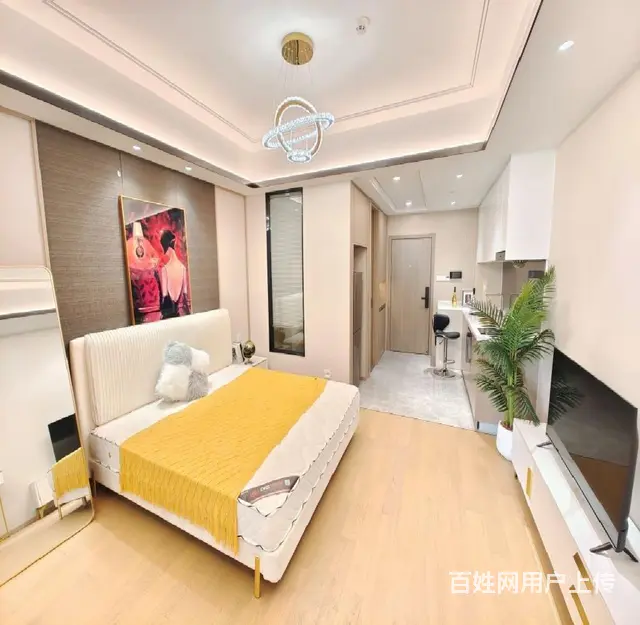 绿地精装1房同方国际西子国际衍新玉府顺福雅苑景芳新塘 - 图片 3