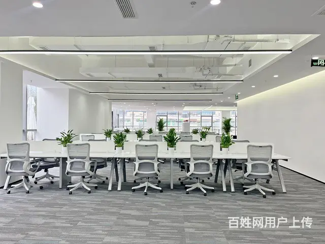 成都银泰国际克莱因蓝系列2 赠送上百平米 多功能空中花园 - 图片 9