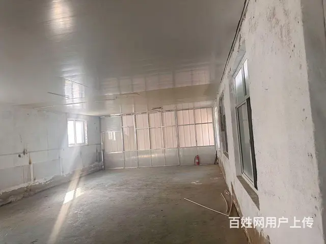 （新房源）张村前双岛村独门独院厂房招租 - 图片 7