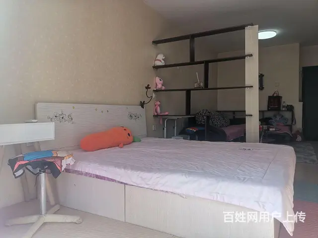 【搞定了！】重工一室一厅  家具家电齐全  拎包入住 - 图片 5