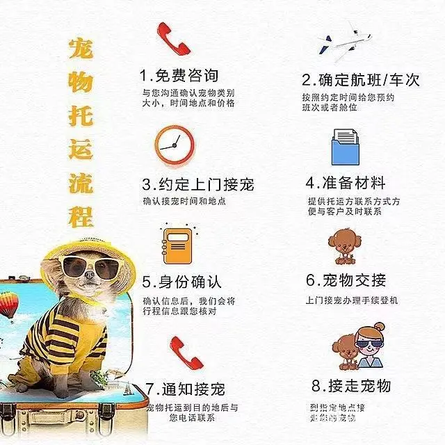 安徽灵璧宠物托运 （猫狗活体运输）宠物快递至全国 - 图片 3