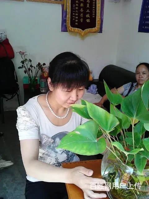 十六年老牌金牌月嫂,育婴师,保姆,钟点，陪护 - 图片 9