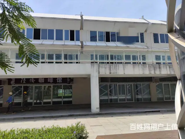 (51旺铺推荐）美兰区碧桂园中央半岛520平铺面出租 - 图片 2