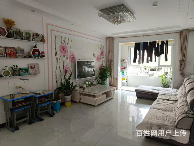 中洋和天下  双证 3室带车位 109万 - 图片 8