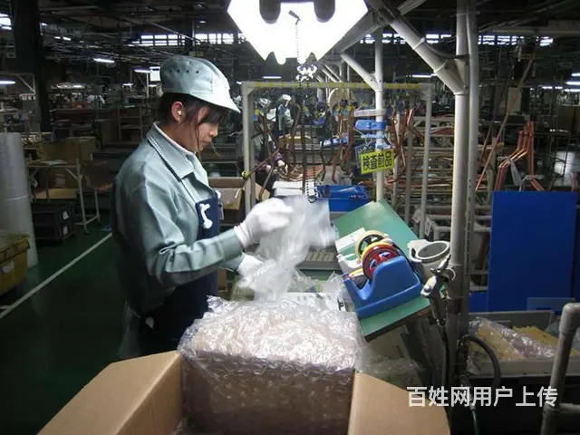 劳务派遣（澳洲保签）华人企业急聘普工 技工 家政等 - 图片 5