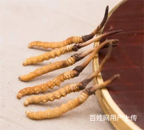 番禺冬虫夏草回收市场价格是多少-上门收购冬虫夏草 - 图片 10
