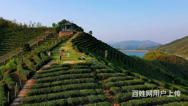 长沙零点团建多家农家乐游玩可提供方案策划 - 图片 6