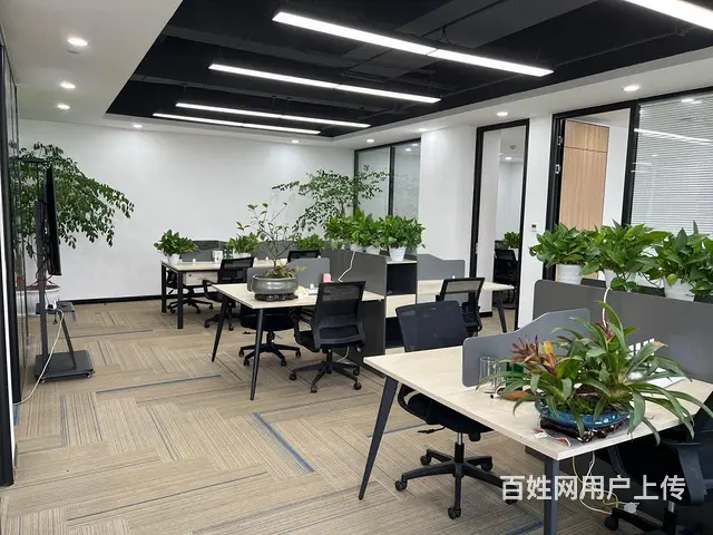 云狐科技园 直播电商好地方 房补1元 带露台精装直播间拎包 - 图片 9