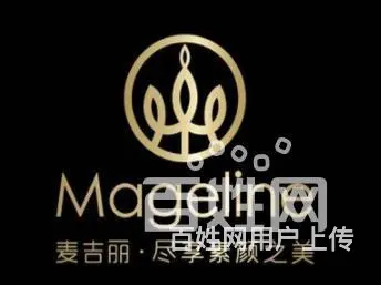 麦吉丽加盟政策,麦吉丽加盟联系方式 - 图片