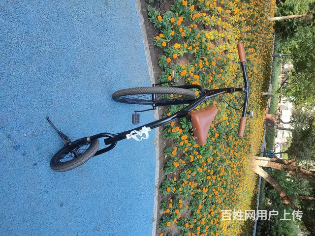 黑龙江只有一台 - 图片 5