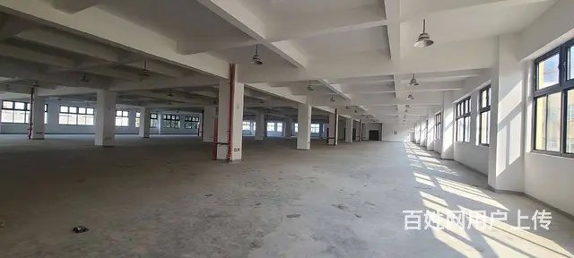 董浜工业园全新独栋独院厂房8400平，可分租，配套设施齐全 - 图片 6