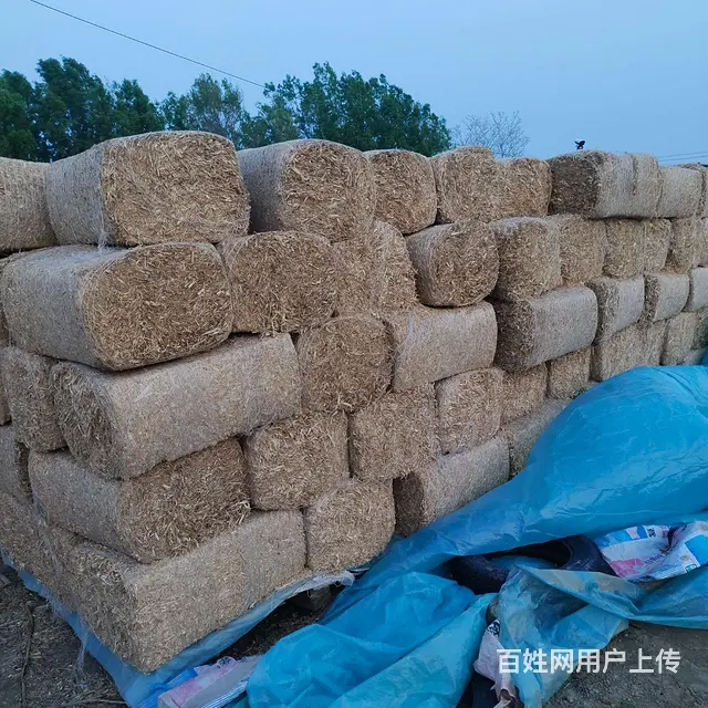 有大量草包出售 - 图片 2