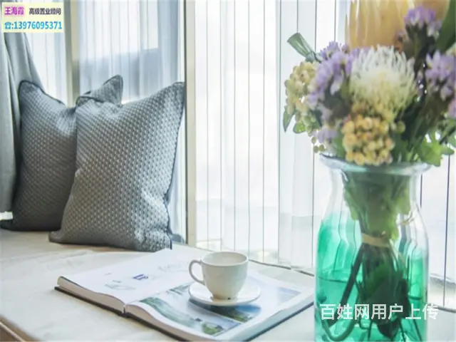 精装交房 大两房 朝南方向 园林景观 商务娱乐会所 - 图片 4