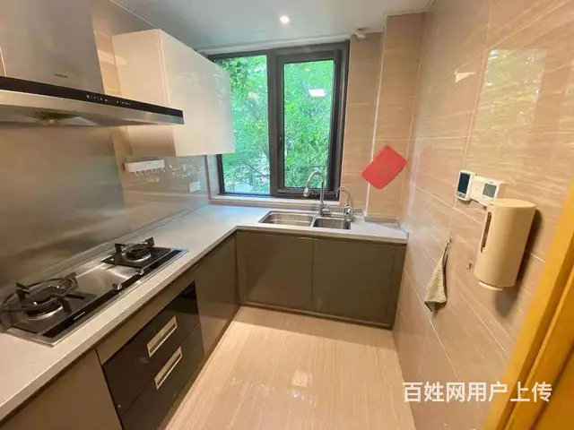 朗诗熙华府精装3房新德佳苑现代景苑朗诗乐府春来枫华香栖天第 - 图片 5