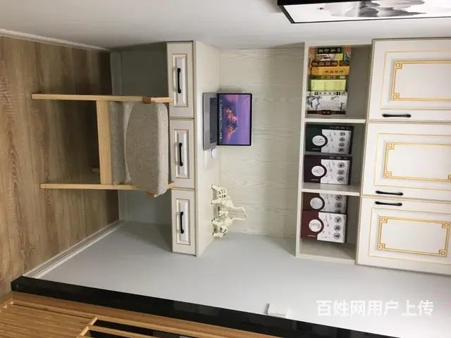 近邻高铁站 挑高 4.8米 买一送一 无中介费 - 图片 7