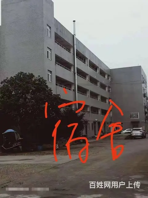 （老板本人）榔梨标准厂房/仓库出租  5805 - 图片 6