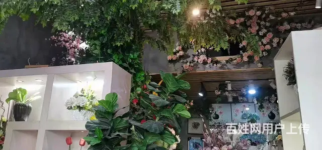 急转！毕节市黔西县莲城金街国医馆楼下55平吻合花艺 - 图片 7