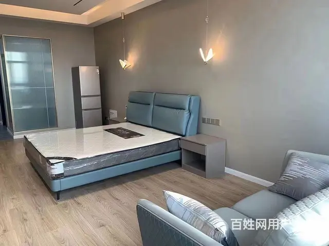 手付5万租金1600地铁口精品公寓单价低周边配套成熟交通方便 - 图片 3