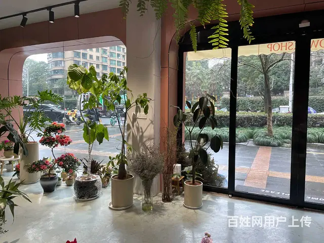 滨江长河十字路口美容美发美甲宠物花店转让 - 图片 6
