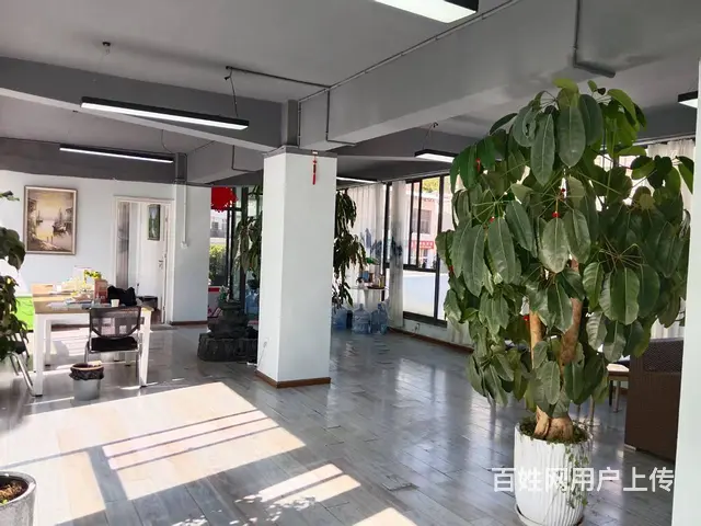 （51旺铺推荐）官渡区金马路185平空铺直租 - 图片 5