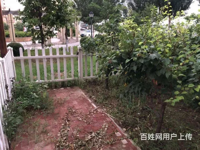 地铁房特变之家(铁西) 普通住宅2厅 精装修 - 图片 6