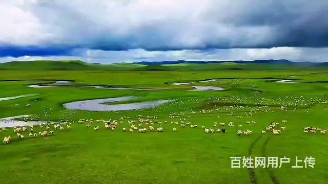 内蒙古呼伦贝尔旅游包车联系方式大草原包车常师傅靠谱 - 图片 1