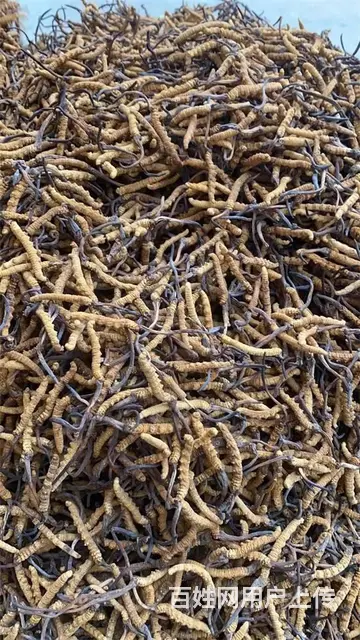开封回收每一年的茅台酒价格表格 - 图片 4