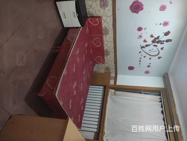 和平小区的图片