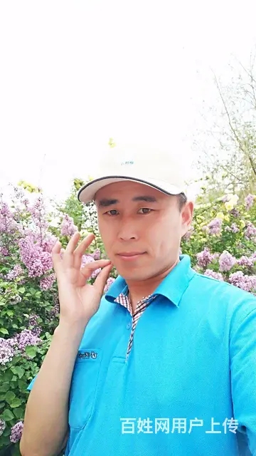 找老婆 - 图片 2