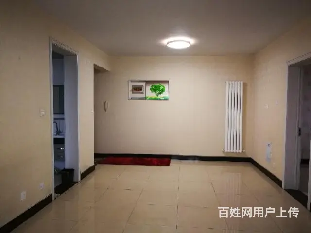 曙光街盛和丽湾小区两室一厅房子出租 - 图片 8