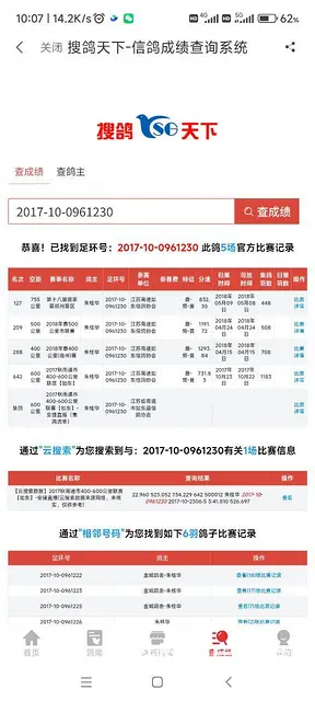 信鸽种鸽  幼鸽要的联系 - 图片 8
